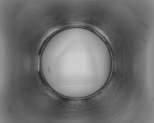 X0000113091223200909251003