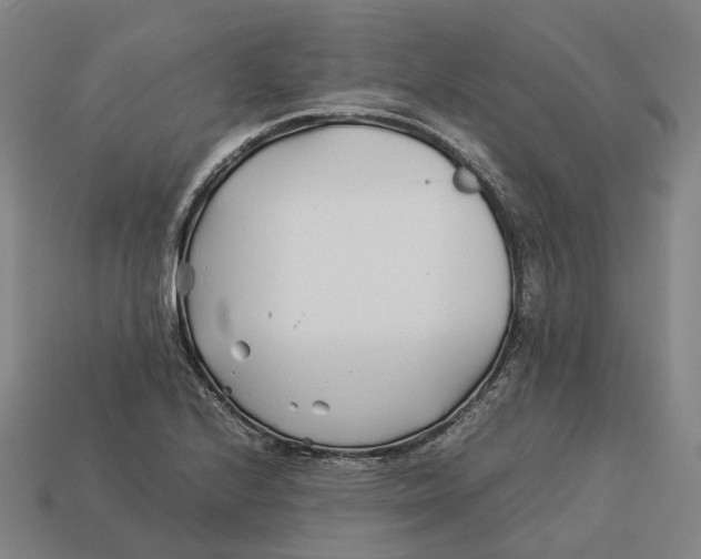 X0000113091224200909251003