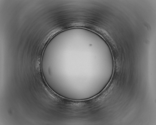 X0000113091225200909251003