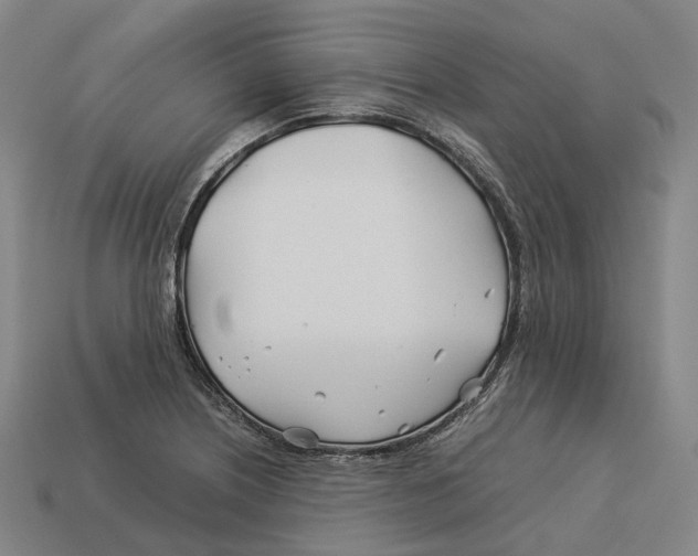 X0000113091226200909251003