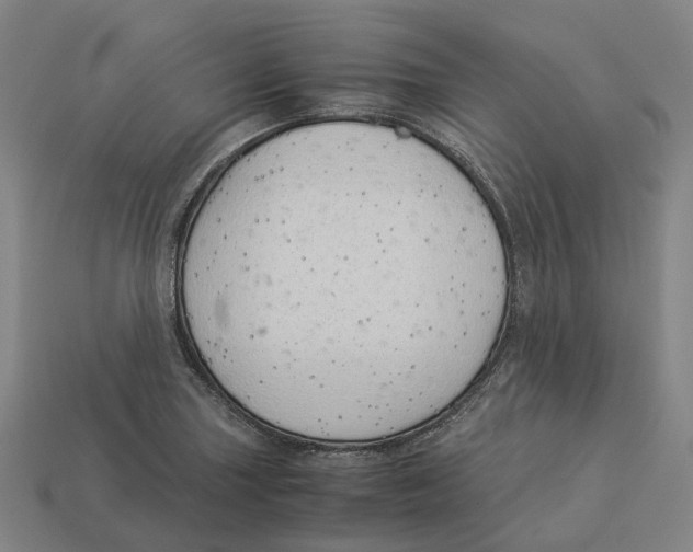 X0000113091227200909251003