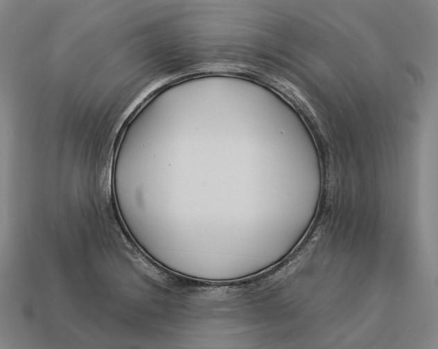 X0000113091228200909251003