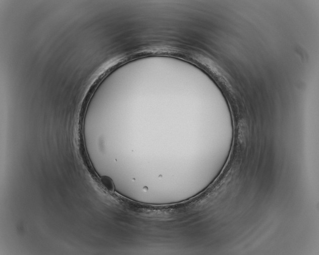 X0000113091229200909251003