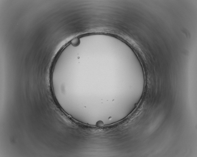 X0000113091230200909251003