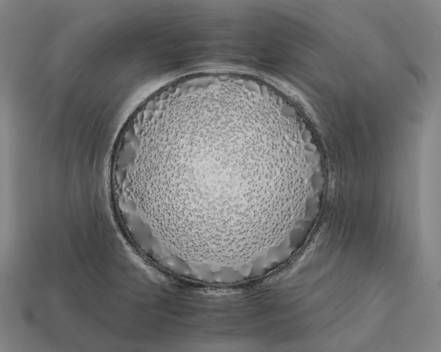 X0000113091231200909251003