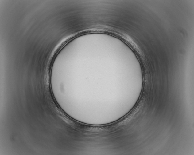 X0000113091232200909251003