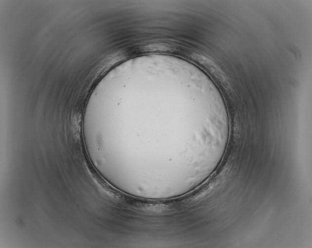 X0000113091233200909251003