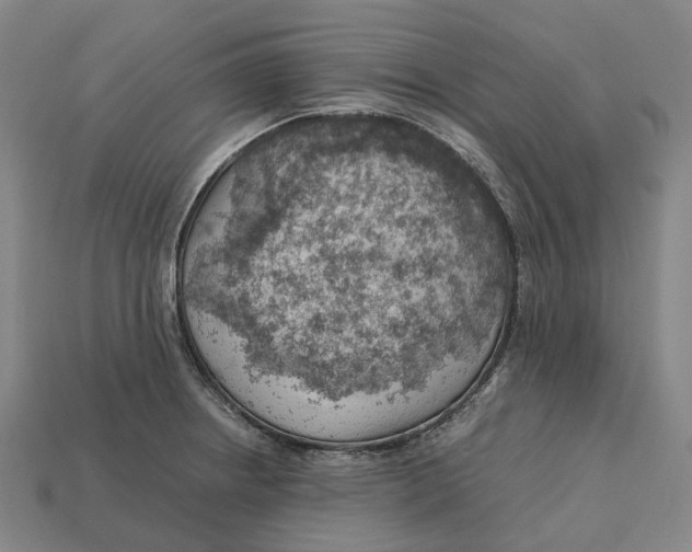 X0000113091234200909251003