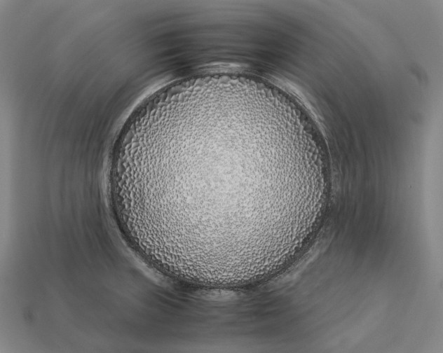 X0000113091235200909251003