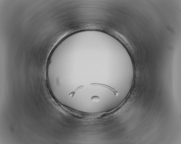 X0000113091236200909251003