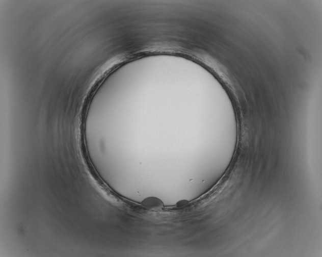 X0000113091237200909251003