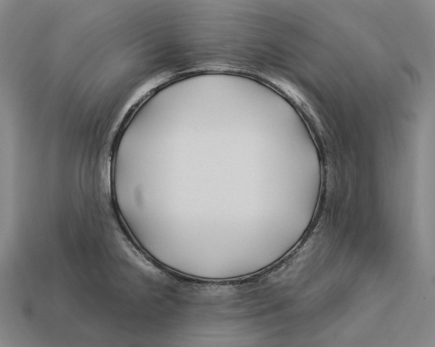 X0000113091238200909251003