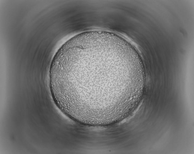 X0000113091239200909251003