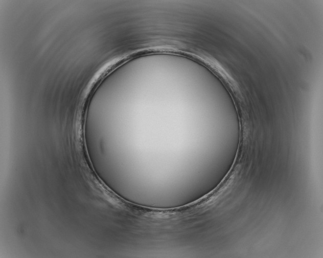 X0000113091240200909251003