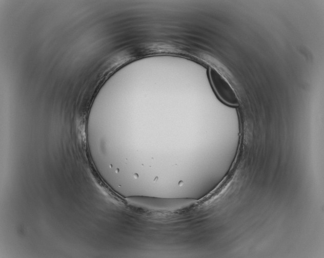 X0000113091241200909251003