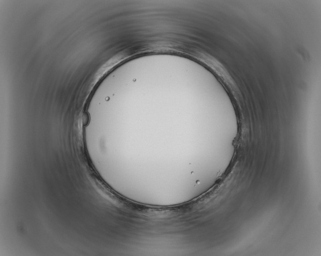 X0000113091242200909251003