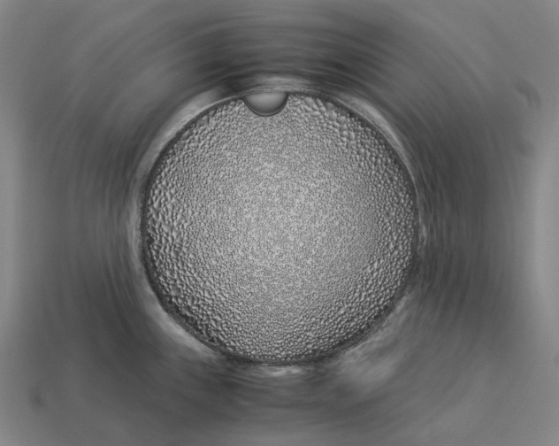 X0000113091243200909251003