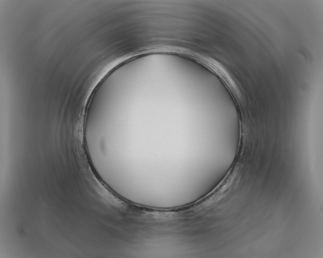 X0000113091244200909251003