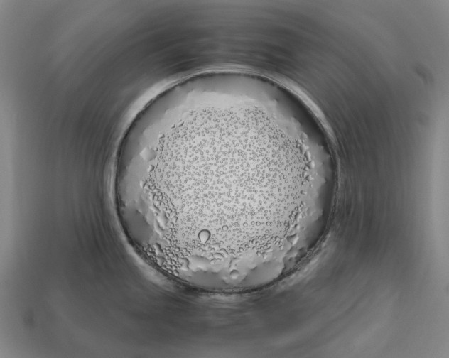 X0000113091245200909251003