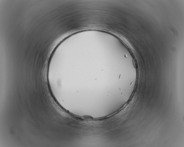 X0000113091246200909251003