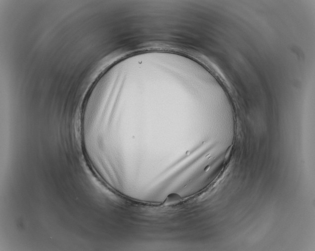 X0000113091247200909251003