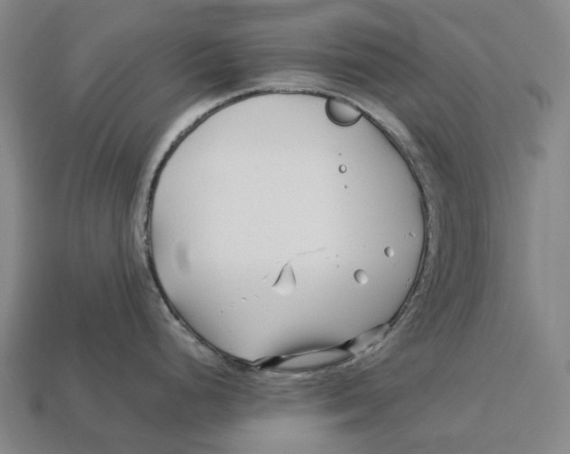 X0000113091248200909251003