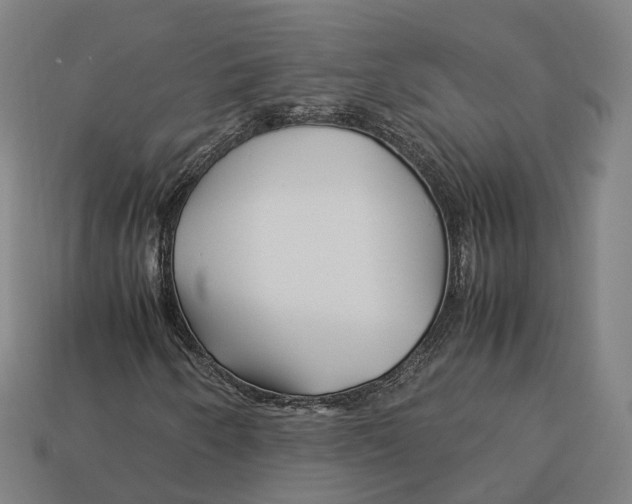 X0000113091250200909251003