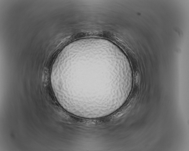 X0000113091251200909251003