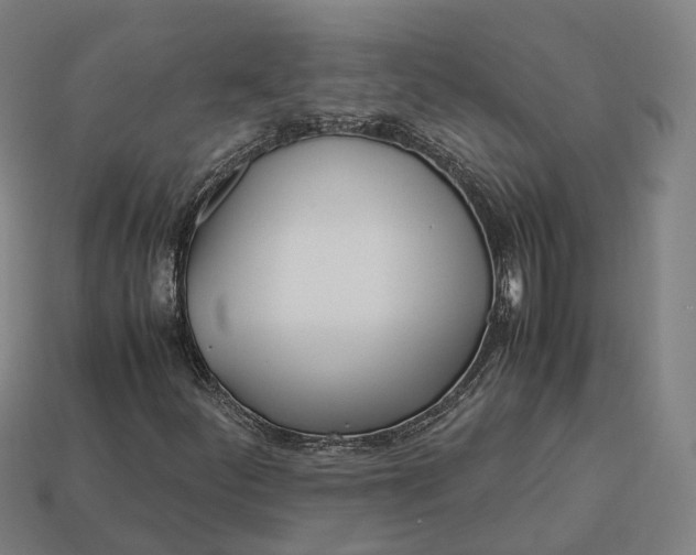 X0000113091252200909251003