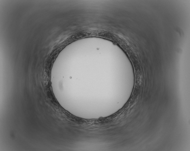 X0000113091253200909251003