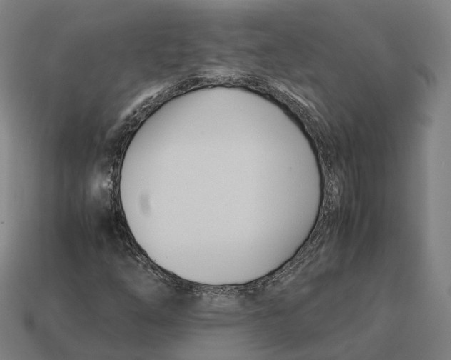 X0000113091254200909251003