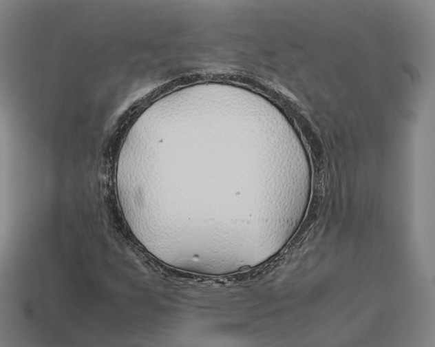 X0000113091255200909251003