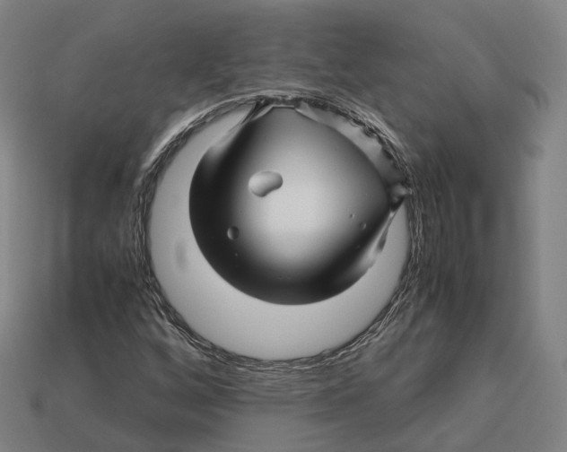 X0000113091256200909251003