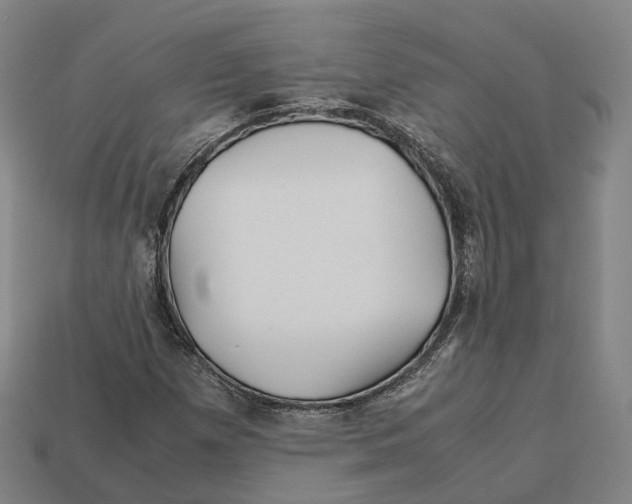 X0000113091257200909251003