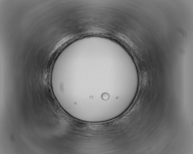 X0000113091258200909251003