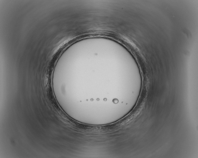 X0000113091259200909251003