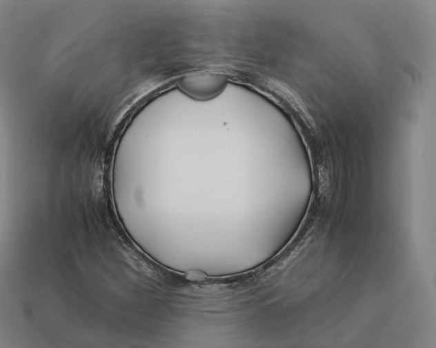 X0000113091260200909251003