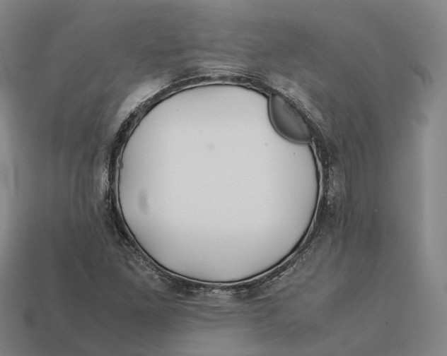 X0000113091261200909251003