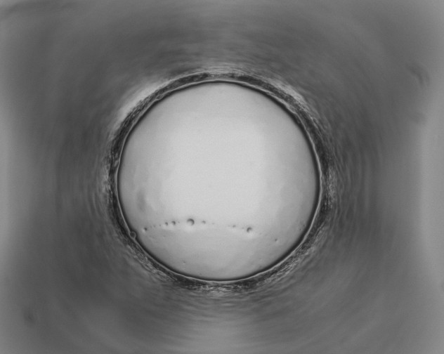 X0000113091263200909251003