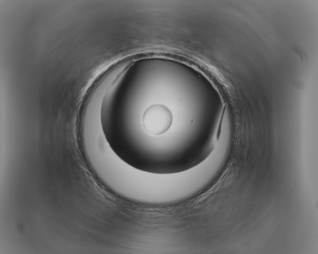 X0000113091264200909251003