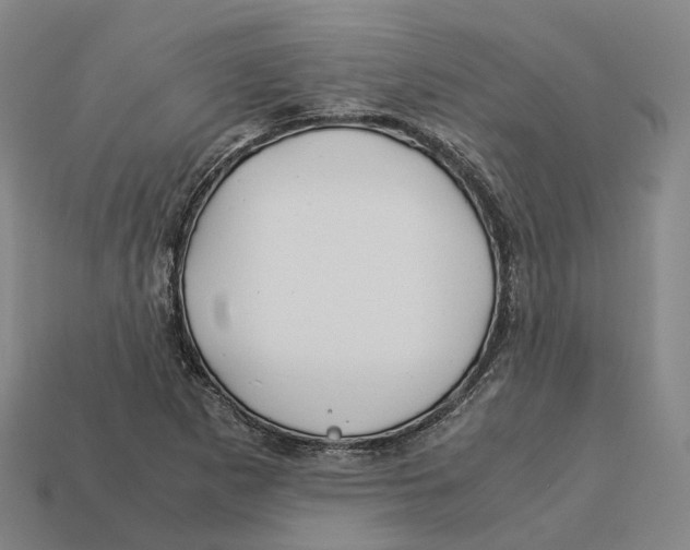 X0000113091265200909251003