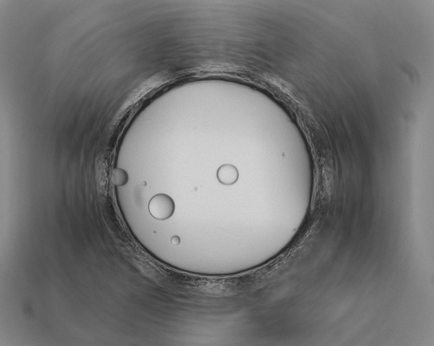 X0000113091266200909251003