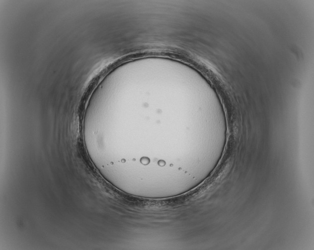 X0000113091267200909251003