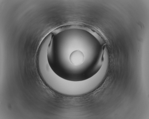 X0000113091268200909251003