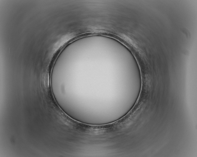 X0000113091269200909251003