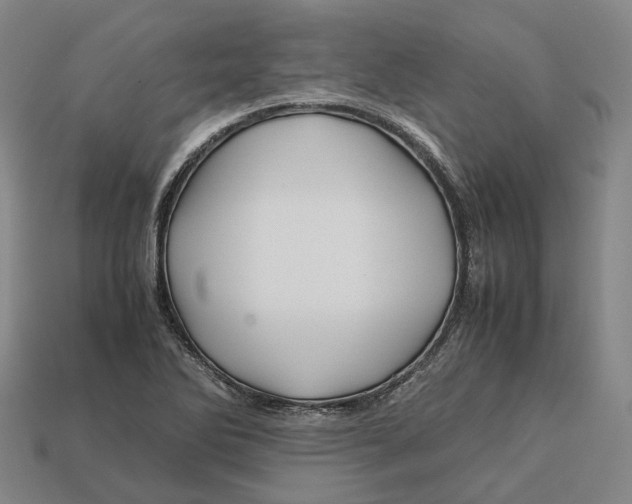 X0000113091270200909251003