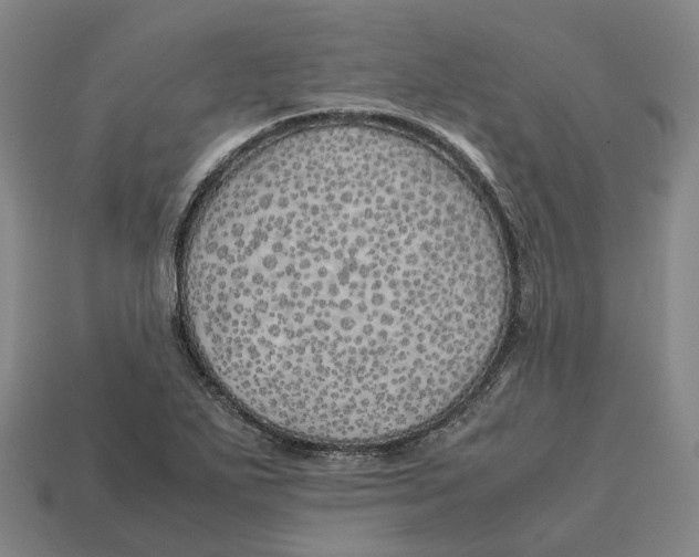 X0000113091271200909251002