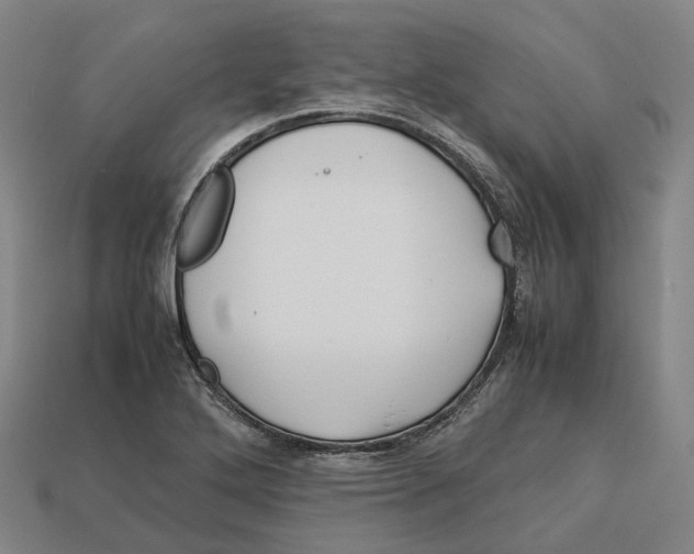 X0000113091272200909251002