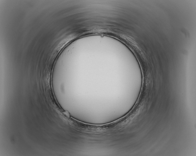 X0000113091273200909251002