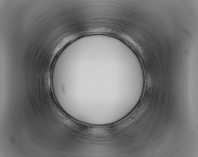 X0000113091274200909251002